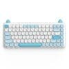 iqunix-m80-purry-cat-wireless-mechanical-keyboard-831620 IQUNIX M80 Purry Cat Wireless Mechanical Keyboard